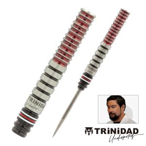 ダーツ バレル TRiNiDAD Undisputed RICARDO2 浅田斉吾 選手モデル