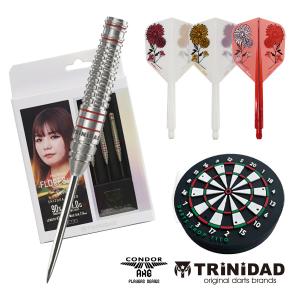 ダーツ 初心者向け 数量限定 初めての ブラス ダーツセット 899円