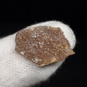 希少 恐竜 卵 化石 本物 フランス産 200mm プレゼント ギフト eb1