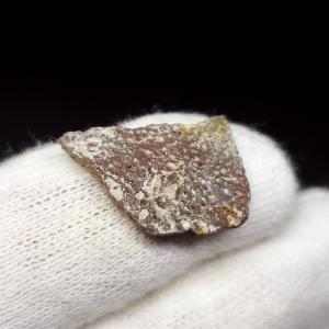 希少 恐竜 卵 化石 本物 フランス産 200mm プレゼント ギフト eb1