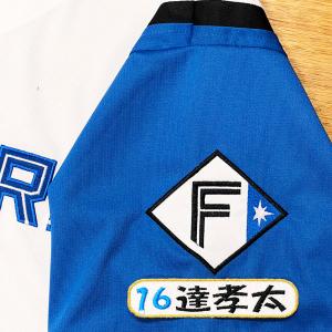 ☆送料無料☆阪神 タイガース 原口文仁 背番号 & 毛筆 応援 刺繍