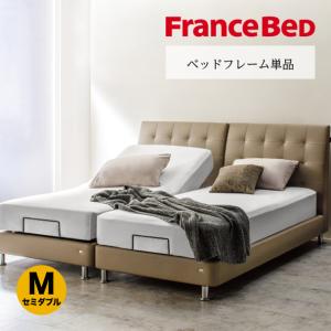 フランスベッド（FRANCEBED） 【PT+10%】在庫限り 正規品 電動ベッド