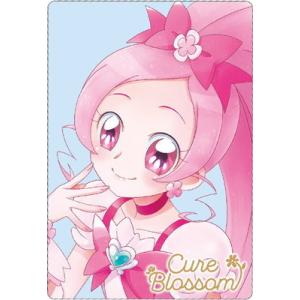 BANDAI（バンダイ） No.11 キュアブロッサム/花咲つぼみ SR (2583147