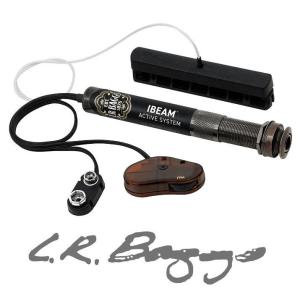 お取り寄せ商品] L.R.Baggs ELEMENT Active VTC エルアールバッグス