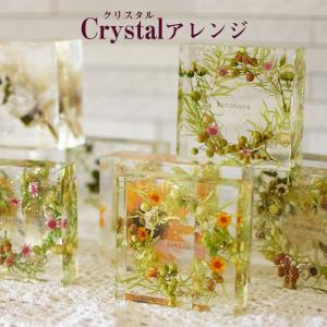 Hacocoro フェリーチェ キュート HH-C93 六角形 花材 花器 インテリア