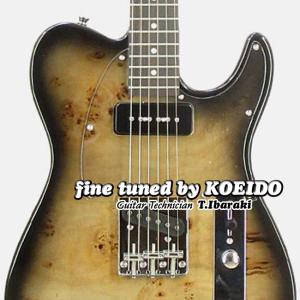 ARIA（アリア） AriaproII Hellion series Electric Guitar エレキ