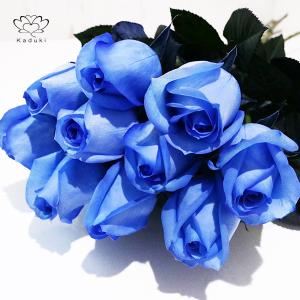 ブルーローズ MIX 花束 30本カラーミックス 生花 ナチュラルカラー