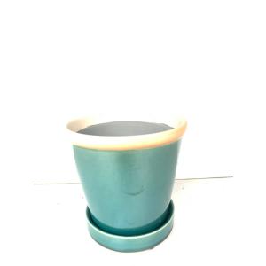 盆栽鉢 : 花郷園 KAGOEN NURSERY - 通販 - Yahoo!ショッピング