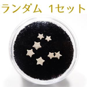 北海道産 アンモナイト化石 ハウエリセラス化石 標本 国産 日本産