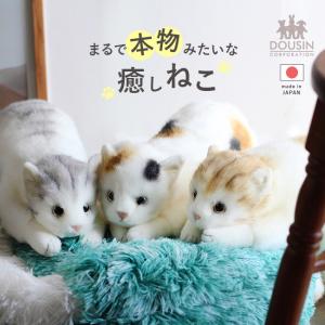 マンハッタントイ ランキーキャッツ ジギー 黒猫 ぬいぐるみ 14インチ