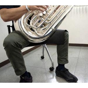 チューバプロテクション DACオリジナル TUPRT : 管楽器専門店ダク