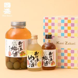 中埜酒造 【送料無料】【2本セット】國盛 おばあちゃんの梅酒 1400ml×2