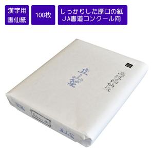 カラーペーパーセット12インチ スクラップブッキング