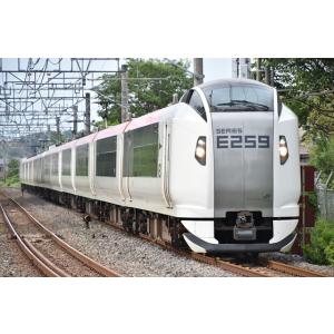 トミックス 98551 JR E259系特急電車(成田エクスプレス・新塗装)基本