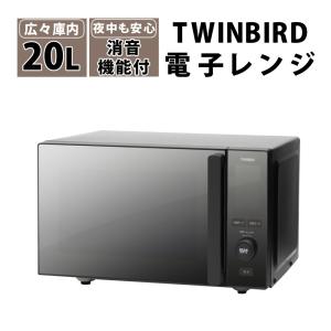 ツインバード(TWINBIRD) DR-E857B ブラック センサー付フラット