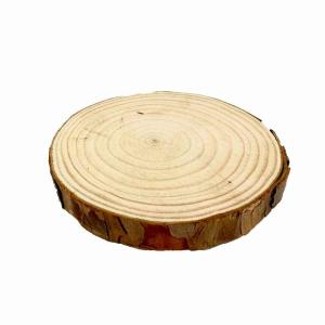 天然木の台座 ディスプレイスタンド スギの木 切り株 1個 14-16cm 大