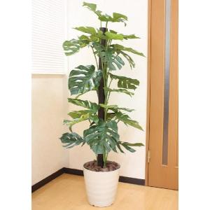 フェイクグリーン 光触媒 光の楽園 デザインベンジャミン1.6m