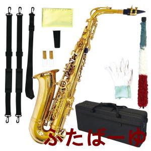 3年保証】 J.Michael Jマイケル AL-500 アルトサックス 初心者 入門