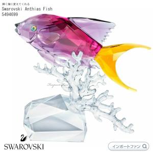 SWAROVSKI（スワロフスキー） 貝と真珠 ラージ 014389 Swarovski