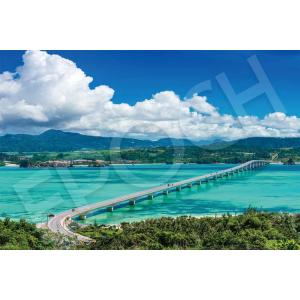 ジグソーパズル 3000ピース 星空のモン・サン・ミシェル-フランス