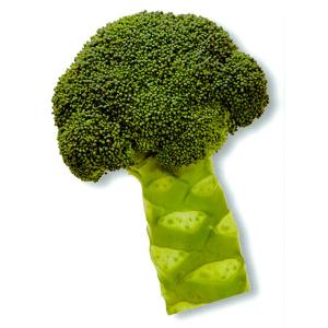 SK9-099 ブロッコリー種子 ペレット5000粒 【野菜種子】【サカタのタネ