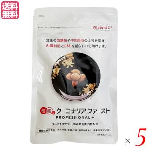 2袋セット 】 ターミナリアファースト プロフェッショナル4