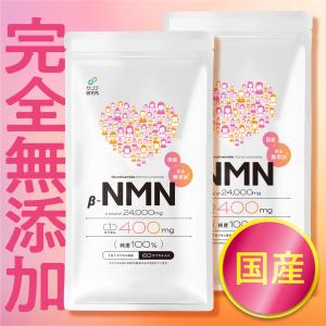 RIZAP/ライザップ MUSCLE PRO マッスルプロ チョコレート風味 26g×30袋