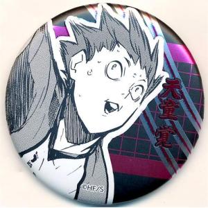 ハイキュー コレクション缶バッジ 