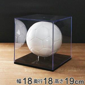 コレクションケース サインボールケース（ハンドボール用）UVカット