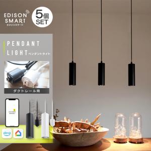 大光電機 ダイコー レール用ペンダントライト 白磁（瀬戸焼） LED