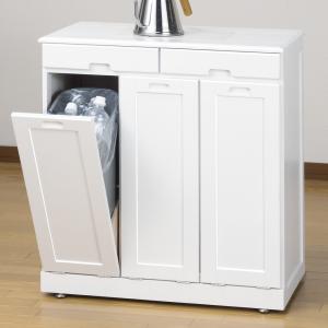 天然木 キッチンカウンター 2分別 ゴミ箱ペール付き ダストボックス