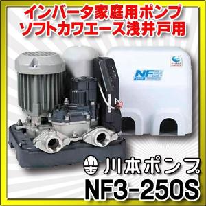 川本 井戸ポンプ 200V 給水ポンプ カワエース N3-405THN N3-406THN