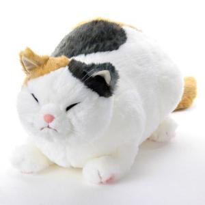 カドリー ねこ ぬいぐるみ わさ美【Cuddly／wasabi／ヌイグルミ／猫