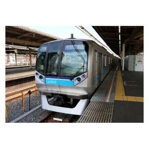 グリーンマックス】「東京メトロ 05系13次車(第43編成・行先表示
