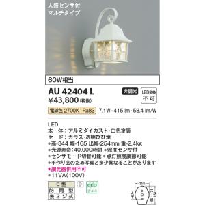 大光電機 DAIKO（大光） DWP-39654YSS LEDアウトドアライト/人感