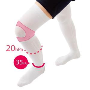 エナジック ハイソックス BiBi Grant エナジックハイソックス LL