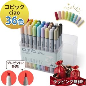 コピッククラシック 72色セット A 12501022 .Too : アークオアシス