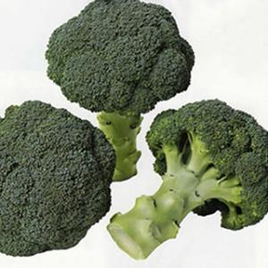 SK9-099 ブロッコリー種子 2000粒 【野菜種子】【サカタのタネ