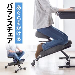 SANWA SUPPLY（サンワサプライ） バランスチェア バランスチェアー