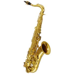 Cannonball キャノンボール A5-L アルトサックス BIG BELL STONE