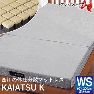 西川（nishikawa） 西川リビング （24+） KAIATU K カイアツ・ケー （3