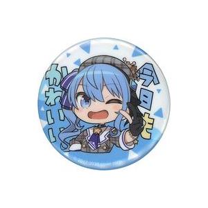 ホロライブ カプセル缶バッジ 星街すいせい : らしんばん通販 Yahoo!店