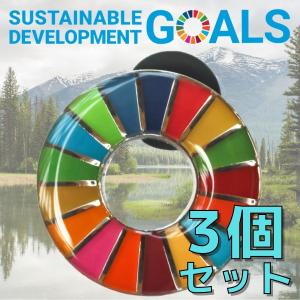 SDGs バッジ 本物 ピンバッジ 正規品 国連本部限定 丸みのあるタイプ