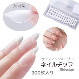 KOIZUMI（コイズミ） PriNail プリネイル 専用 インクカートリッジ KNP