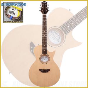 ESP GrassRoots G-AC/S Natural Satin : ESP-BIGBOSSヤフー店 - 通販