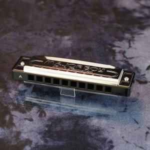 TOMBO（トンボ） 複音ハーモニカ 21穴「超特級イワサキソロ」 トンボ