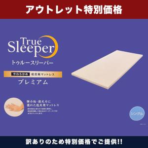 トゥルースリーパー（True Sleeper） 低反発座布団 ショップジャパン