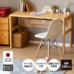 書斎デスク 120×60 パソコンデスク 書斎机 ワークデスク 木製 国産