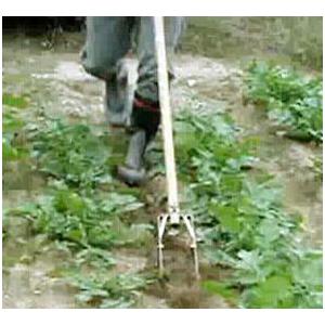 向井工業 手押し中耕除草機 たがやすパワーTP-70 (耕巾7cm) [中耕 除草