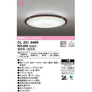 ODELIC（オーデリック） 在庫品 OL251816R R15クラス2 高演色LED